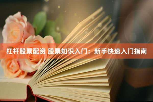 杠杆股票配资 股票知识入门：新手快速入门指南