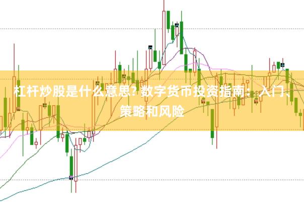 杠杆炒股是什么意思? 数字货币投资指南：入门、策略和风险