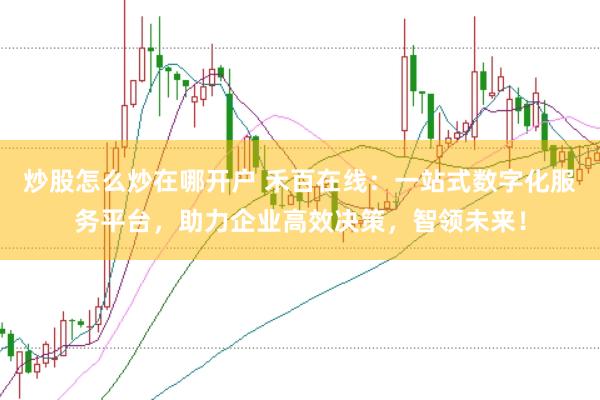 炒股怎么炒在哪开户 禾百在线：一站式数字化服务平台，助力企业高效决策，智领未来！