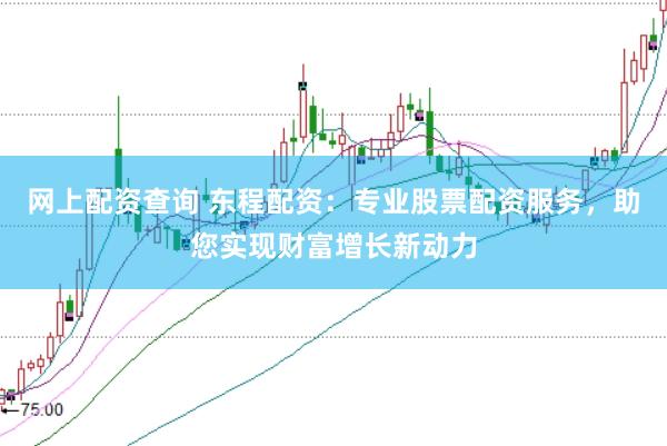 网上配资查询 东程配资：专业股票配资服务，助您实现财富增长新动力
