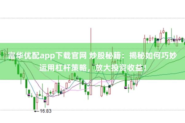 富华优配app下载官网 炒股秘籍：揭秘如何巧妙运用杠杆策略，放大投资收益！