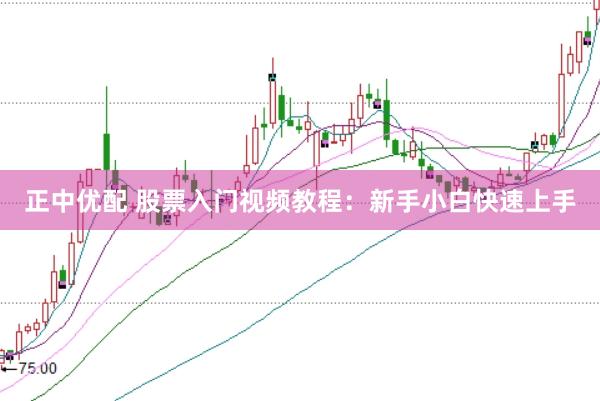 正中优配 股票入门视频教程：新手小白快速上手