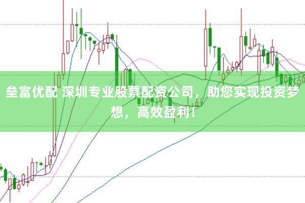 垒富优配 深圳专业股票配资公司，助您实现投资梦想，高效盈利！