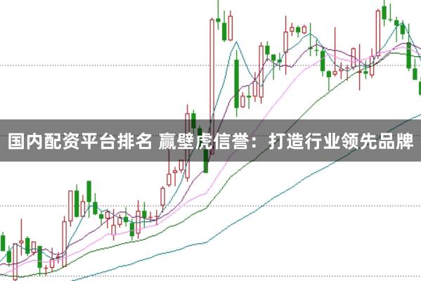 国内配资平台排名 赢壁虎信誉：打造行业领先品牌