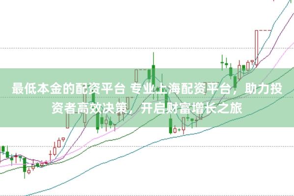 最低本金的配资平台 专业上海配资平台，助力投资者高效决策，开启财富增长之旅