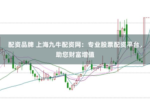 配资品牌 上海九牛配资网：专业股票配资平台，助您财富增值