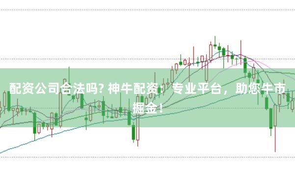 配资公司合法吗? 神牛配资：专业平台，助您牛市掘金！