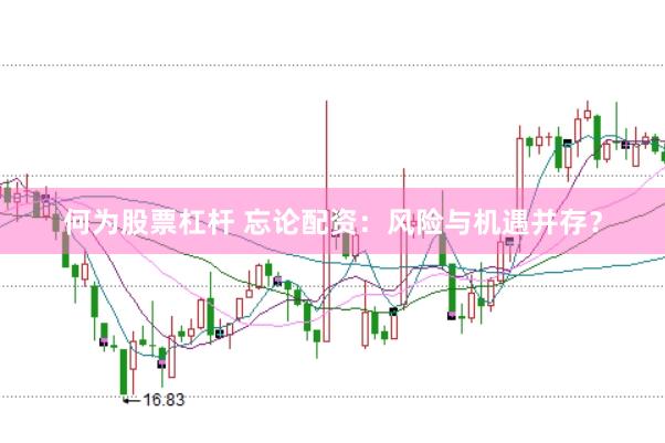 何为股票杠杆 忘论配资：风险与机遇并存？