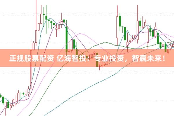 正规股票配资 亿海智投：专业投资，智赢未来！