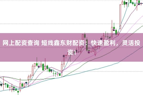 网上配资查询 短线鑫东财配资：快速盈利，灵活投资！