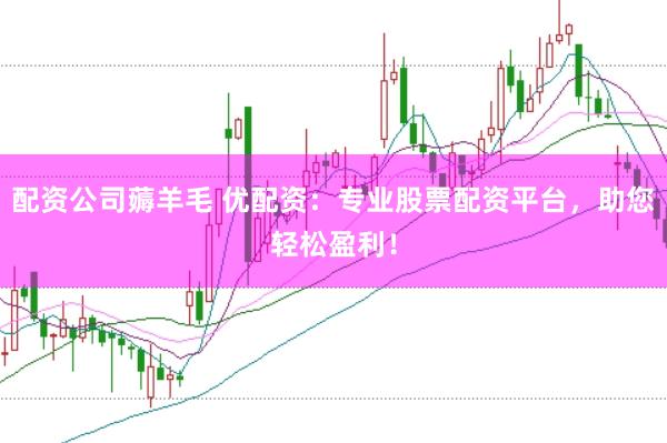 配资公司薅羊毛 优配资：专业股票配资平台，助您轻松盈利！
