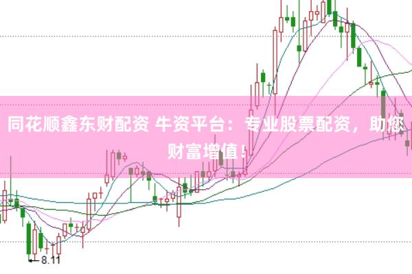 同花顺鑫东财配资 牛资平台：专业股票配资，助您财富增值！