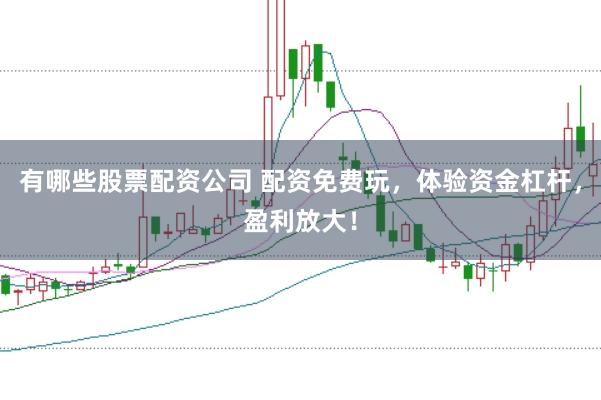有哪些股票配资公司 配资免费玩，体验资金杠杆，盈利放大！