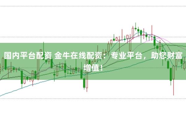 国内平台配资 金牛在线配资：专业平台，助您财富增值！