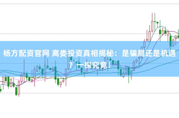 杨方配资官网 离娄投资真相揭秘：是骗局还是机遇？一探究竟！