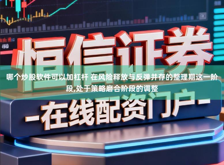 哪个炒股软件可以加杠杆 在风险释放与反弹并存的整理期这一阶段，处于策略磨合阶段的调整