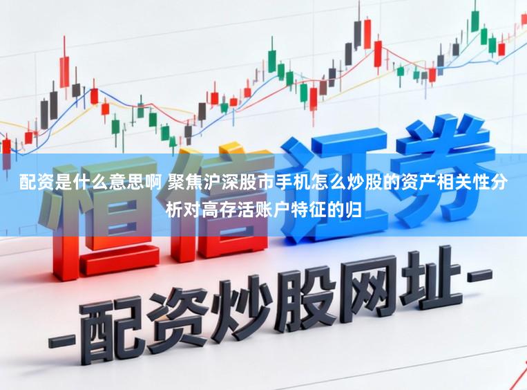 配资是什么意思啊 聚焦沪深股市手机怎么炒股的资产相关性分析对高存活账户特征的归